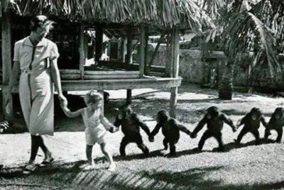 - amor maternal nÃ£o tem fronteira