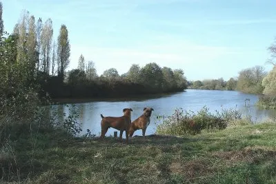 Bords du Loir