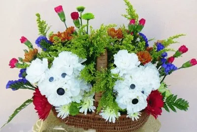 terriers