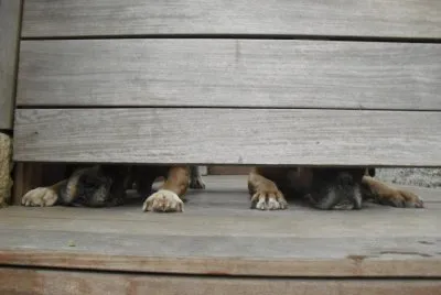 Who 's There?