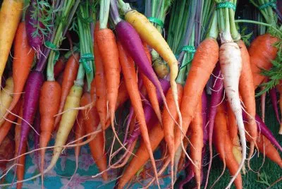Colored Carrots