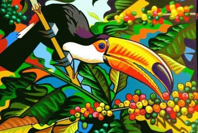 tucano