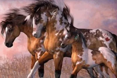 - cavalo,(oo3)