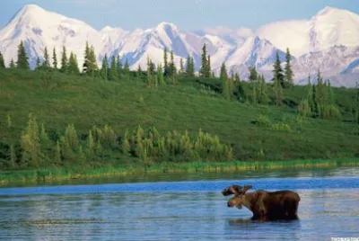 פאזל של Alaska