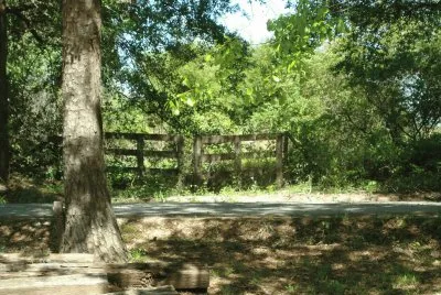 pasture
