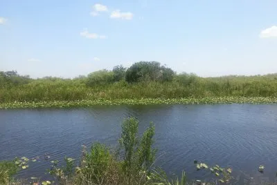 nature