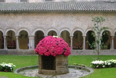 Temps de Flors 2013