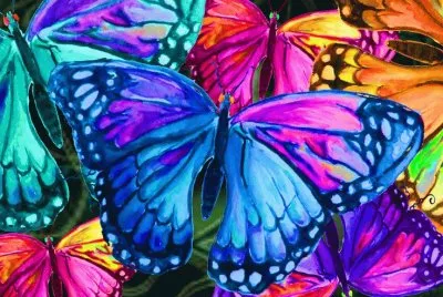 Butterflies