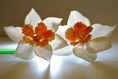 Murano Glass