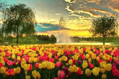 life jigsaw puzzle