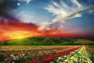 amazing3 jigsaw puzzle