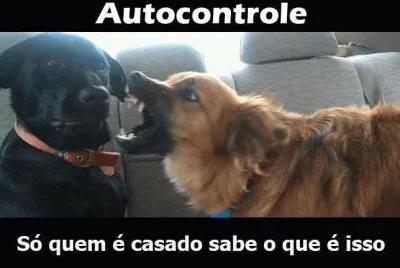 CÃ£es jigsaw puzzle