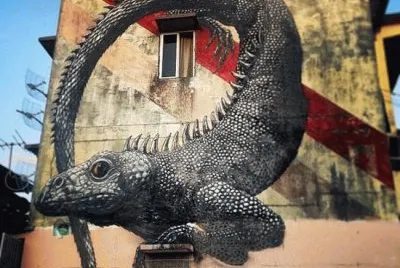 Lagarto jigsaw puzzle