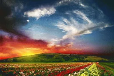 tornado jigsaw puzzle