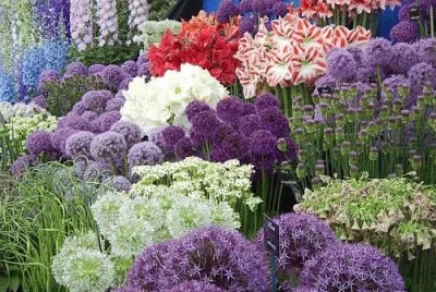 Chelsea Flowers jigsaw puzzle