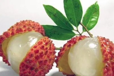 Yummy Yummy  Lychee jigsaw puzzle