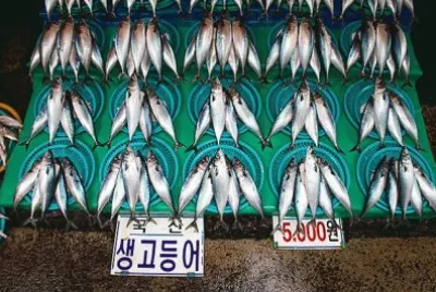 Jagalchi Fish Market  Seoul