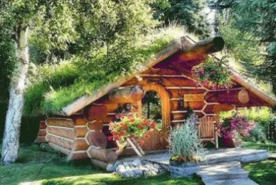 Forest House  Norway