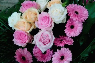 Flors