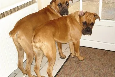 LE couple !