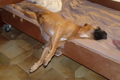 Grosse fatigue pour elle !