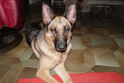 Eva
