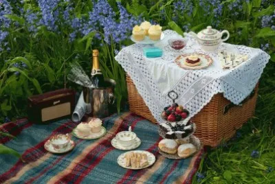 Vintage Picnic in the Bluebell Field