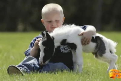 CrianÃ§a e seu bode