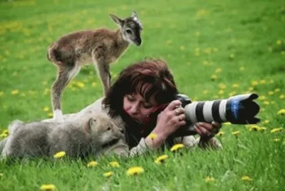foto foto