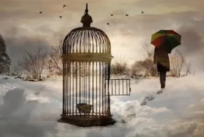 libertad