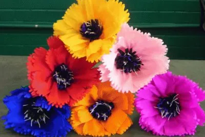 Mexican Crepe Flowers