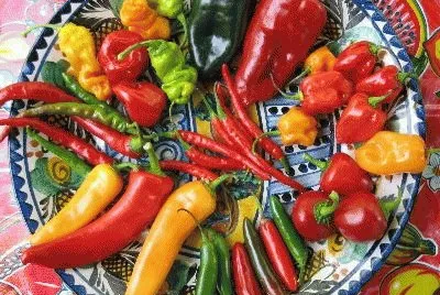 Mexican peppers