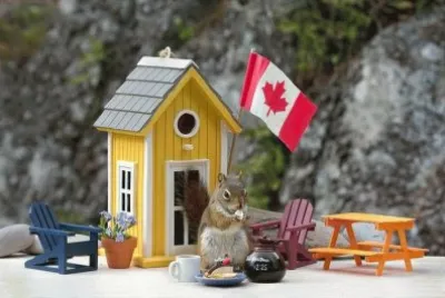 Squirrel on vacation