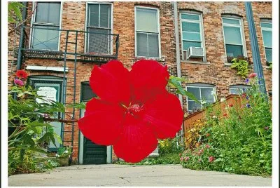 FaraÃ³n jigsaw puzzle