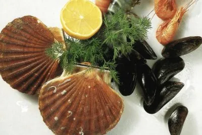 Aliments