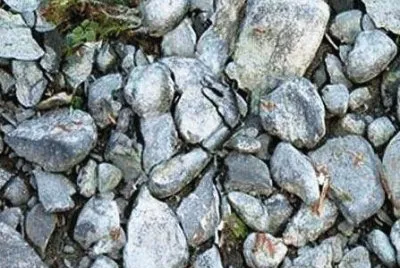 46