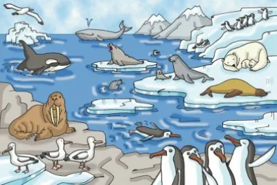 Talk plate  Animals at the North Pole