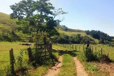 - caminho da roÃ§a! jigsaw puzzle