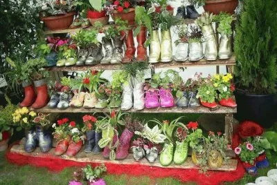 Unique Shoe Planters
