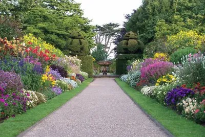 Jardim Dinamico jigsaw puzzle