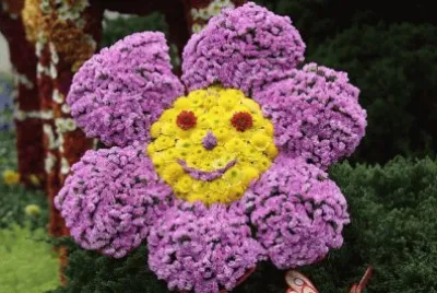 Color Flower