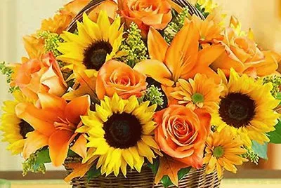 bouquet