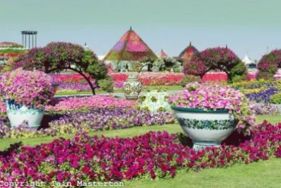 Dubai Miracle Garden