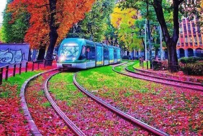 ÃRBOLES Y TREN EN ITALIA.