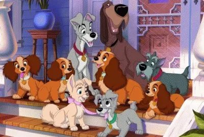 cÃ£os jigsaw puzzle