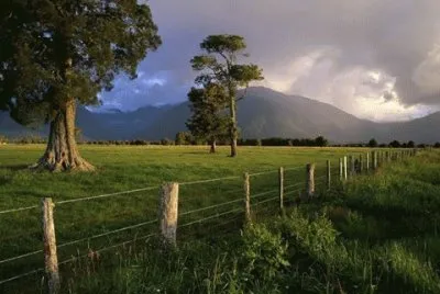 - paisagem,(oo9)