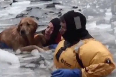 CROSBBY FUE RESCATADO EN BOSTON.