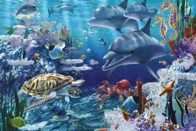 poissons