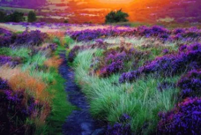 couleurs