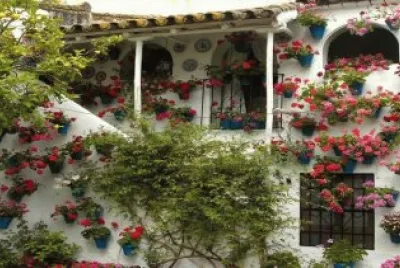 patio2